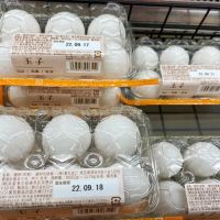 Tamago Kake Gohan