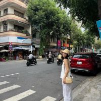 Ảnh trong bài