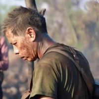 Ảnh trong bài