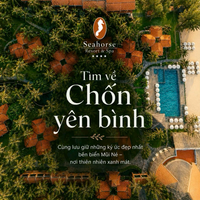 Ảnh trong bài
