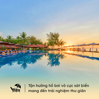 Ảnh trong bài