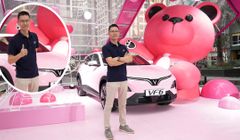Lý do gì khiến “cậu 6” VinFast VF6 vừa ra mắt đã được người dùng đánh giá cao?