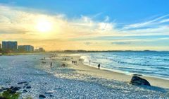 Khám phá du lịch Gold Coast – thành phố biển tuyệt đẹp của nước Úc