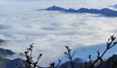 Chinh phục biển mây Ky Quan San, ngắm hoa đỗ quyên rừng