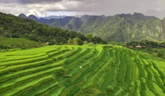 Nghỉ lễ 2.9 du lịch chữa lành ở đâu để tránh đông đúc?