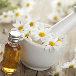 Bí quyết làm đẹp da từ những cánh hoa cúc mỏng manh