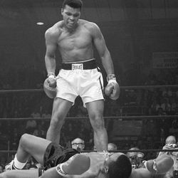 Các bức tranh do Muhammad Ali vẽ được bán với giá hơn 21 tỷ VNĐ