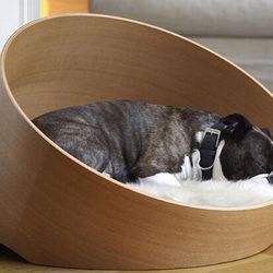 "Choáng" với những món đồ dành cho thú cưng trị giá hàng chục triệu đồng