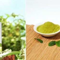 Trà xanh - trợ thủ đắc lực cho nhan sắc nữ giới