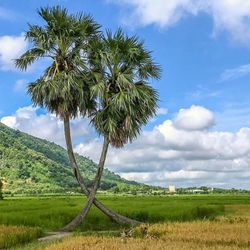 Du lịch qua ảnh Một ngày về mảnh đất vùng biên xinh đẹp