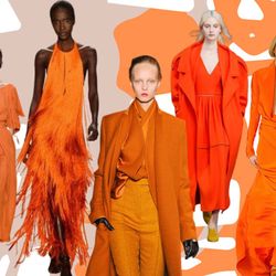 Màu cam được dự đoán sẽ là màu hot trend của năm 2022