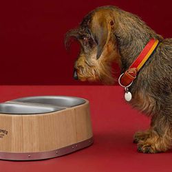 Hermès ra mắt bát đựng thức ăn cho thú cưng có giá 26 triệu VNĐ