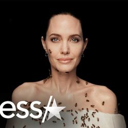 Angelina Jolie chụp hình cùng ong mà không cần mặc đồ bảo hộ