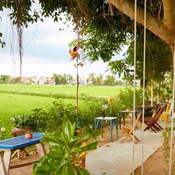 2 tiệm cafe view đồng lúa bình yên ở Hội An nhất định phải ghé