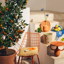 Bộ sưu tập Diptyque mới lấy cảm hứng từ vùng đất Địa Trung Hải