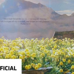 MV comeback - Still Life của BigBang bùng nổ sau vài giờ phát hành
