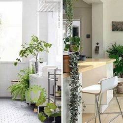 Những gợi ý để biến không gian sống của bạn thêm thú vị!