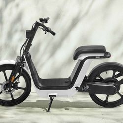 MUJI và Honda cùng trình làng xe đạp điện MS01