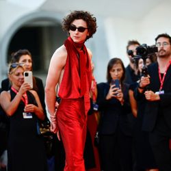 Liệu Timothée Chalamet sẽ lặp lại thành công với "Bones and All"?