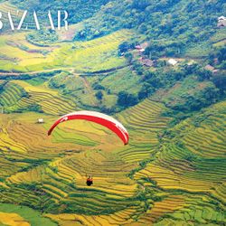 Dù lượn ở Mù Cang Chải mùa lúa chín: Bay trên mùa vàng