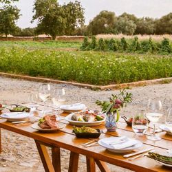 "Farm to table" liệu có thật sự bền vững?
