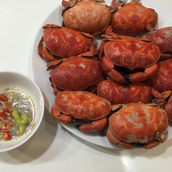 Top 13 loại hải sản Cô Tô mang thương hiệu đặc trưng của vùng biển tiền tiêu
