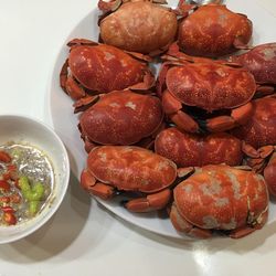 Top 13 loại hải sản Cô Tô mang thương hiệu đặc trưng của vùng biển tiền tiêu