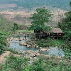 Du lịch Mộc Châu: Thời điểm lý tưởng nhất với mùa hoa nở “trắng trời”