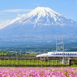Tour du lịch Nhật Bản ngắm trọn vẻ đẹp phong cảnh Tokyo – Yamanashi