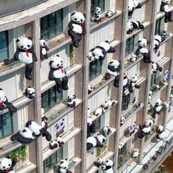 Xiêu lòng trước khách sạn Manxin Trung Quốc ngập tràn gấu trúc xinh xắn