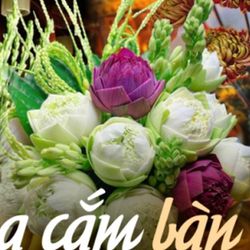 Loại hoa nào nên bày trên bàn thờ ngày Tết giúp thu hút tài lộc? Hoa cắm số chẵn hay số lẻ mới đúng?