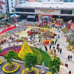 Tinh hoa của Tết cổ truyền hiện diện tại Hội hoa xuân 2022 ở Novaland Gallery
