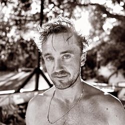 9 phim và chương trình truyền hình mới của Tom Felton
