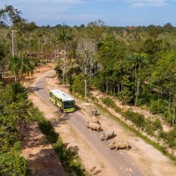 Vinpearl Safari Phú Quốc lọt top đầu vườn thú và thủy cung tại Châu Á
