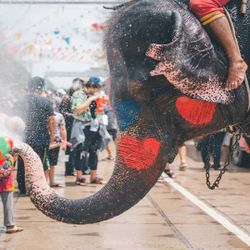 Trải nghiệm niềm vui giật gân: Lễ hội té nước Songkran 2024 ở Thái Lan