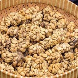 10 món ăn đắt nhất thế giới, chỉ dành cho giới thượng lưu