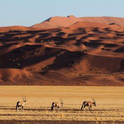 Mạo hiểm kiểu thượng lưu: Kỳ 2 - Đến sa mạc Namibia cùng andBeyond