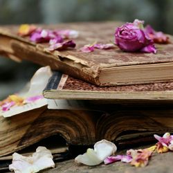 Top 5 cuốn sách về nước hoa cực hay dành cho các tín đồ mùi hương