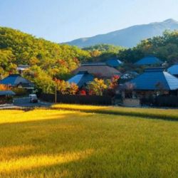 Top 5 khách sạn truyền thống ấn tượng nhất Nhật Bản