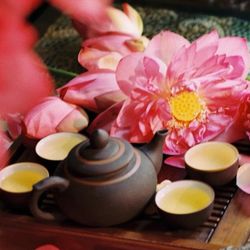 Nghề ướp trà sen Tây Hồ được công nhận di sản văn hóa phi vật thể quốc gia