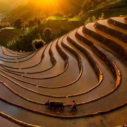 Mù Cang Chải dẫn đầu top điểm đến có “vẻ đẹp siêu thực”