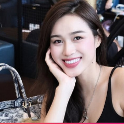 Túi hiệu hơn 800 triệu đồng của Đỗ Thị Hà
