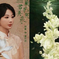 Dương Tử liên tiếp nhận dự án phim tầm cỡ thể loại đại nữ chủ, chuyển mình trong sự nghiệp