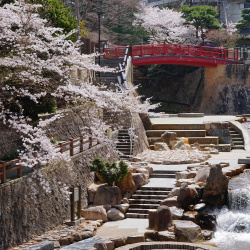 Arima Onsen: Miền đất thiêng của suối nước nóng và văn hóa Nhật Bản