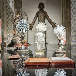 Triển lãm Cabinet of Wonders: Những kỳ quan trong chiếc tủ của nhà sưu tầm