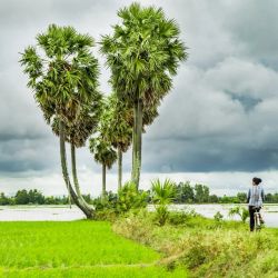 16 địa điểm du lịch An Giang được check-in nhiều nhất
