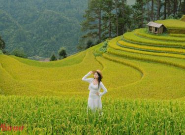 Mù Căng Chải từ lâu đã nổi tiếng bởi cảnh sắc thiên nhiên hùng vĩ và đặc biệt còn ghi dấu trong lòng những tín đồ du lịch hình ảnh những cánh đồng ruộng bậc thang vàng ruộm trong tiết thu quyến rũ.