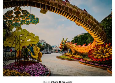 Thân uốn lượn hình sin theo hướng bay lên là đặc điểm thường thấy trong hình ảnh rồng thời Lý và Trần, hình dáng đuôi xòe như ngọn lửa là đặc điểm của rồng thời Nguyễn
