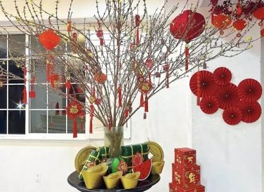 Nàng hậu sắm cả mai vàng rực rỡ để chơi Tết.