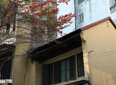 Những ngôi nhà cổ trong sắc đỏ của lá cây bằng lăng trên các tuyến phố ở Hà Nội.